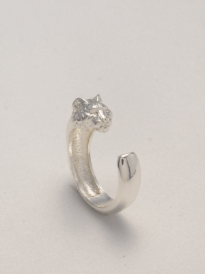 Anillo Tigre